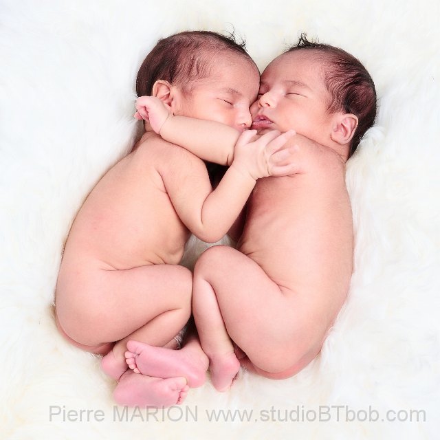 Photographe-jumeaux.jpg - Séance photo de jumeaux par un photographe de photos de bébé