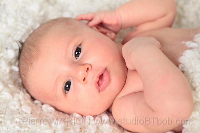 Portrait-photo-bebe-naissance.JPG - Photographe de nouveau-ne et naissance a Saint-etienne