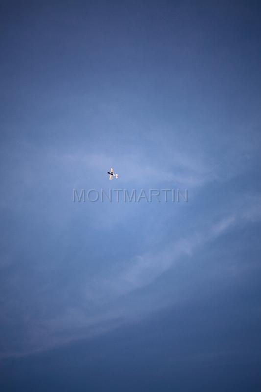 IMG_1845.JPG