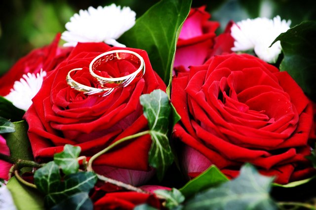 Photos-mariage-alliances.jpg - Photographe de mariage, photos de mariage et détail des alliances sur roses