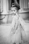IMG_7666nb